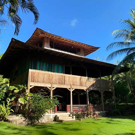 Ocean Forest Ecolodge San Pedrillo Ngoại thất bức ảnh