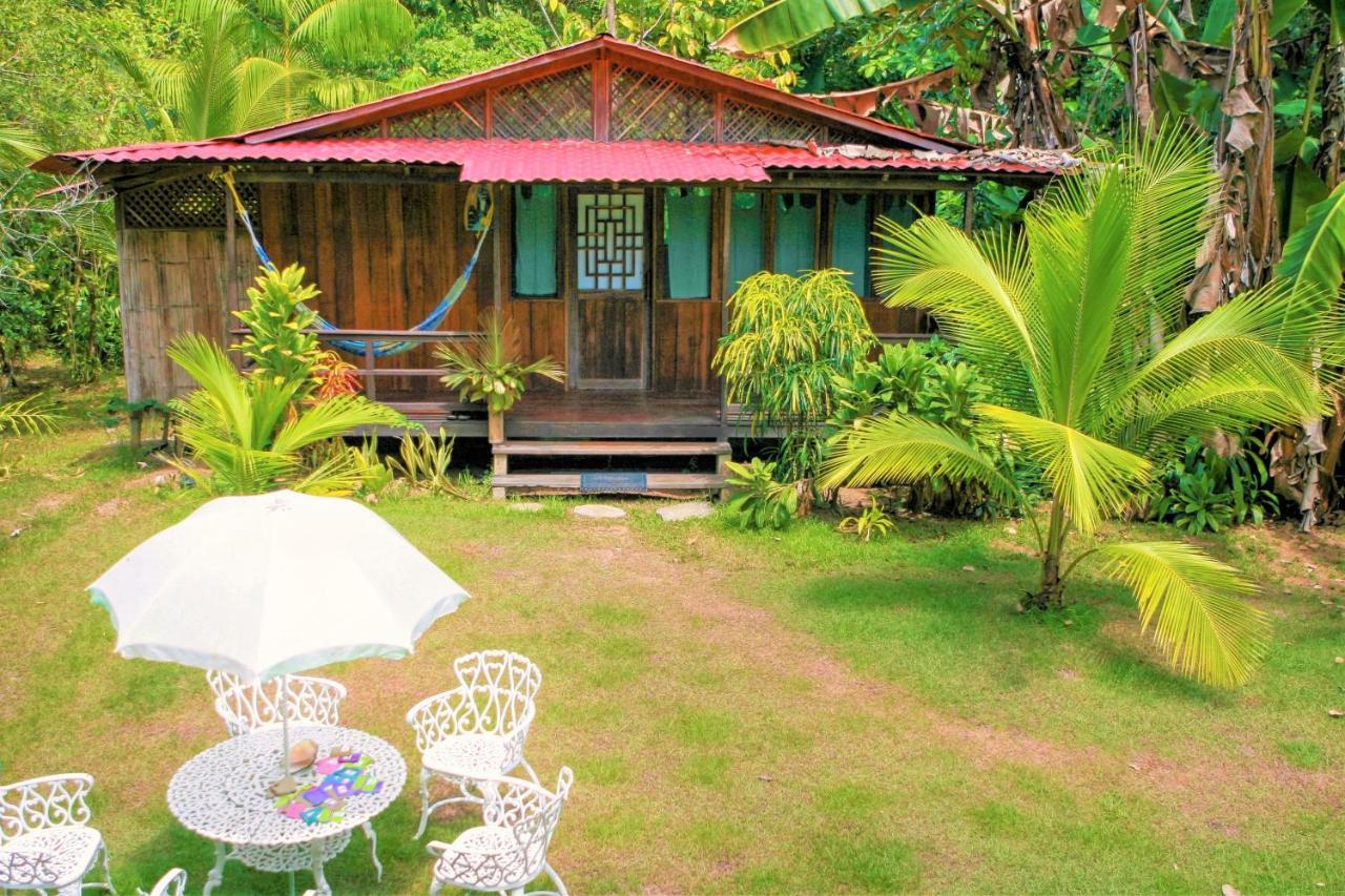 Ocean Forest Ecolodge San Pedrillo Ngoại thất bức ảnh
