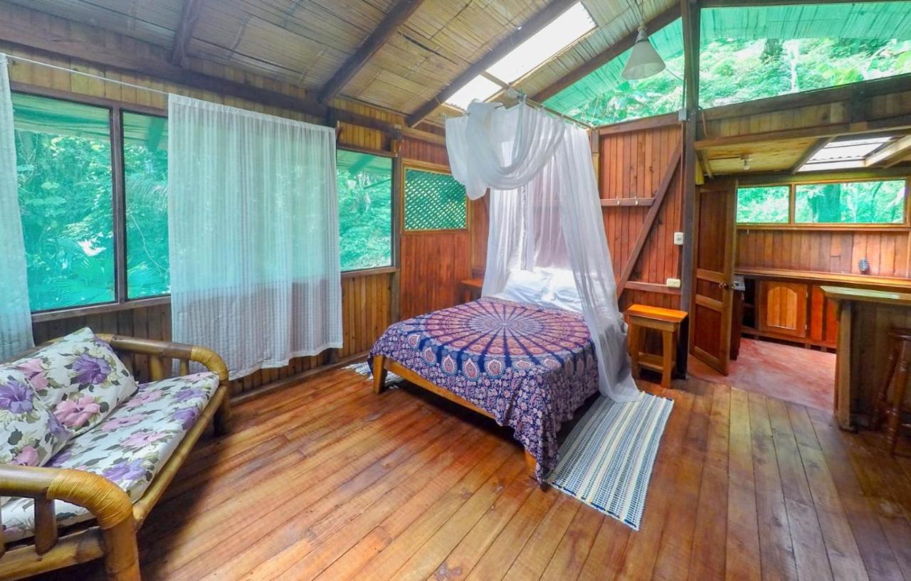 Ocean Forest Ecolodge San Pedrillo Ngoại thất bức ảnh