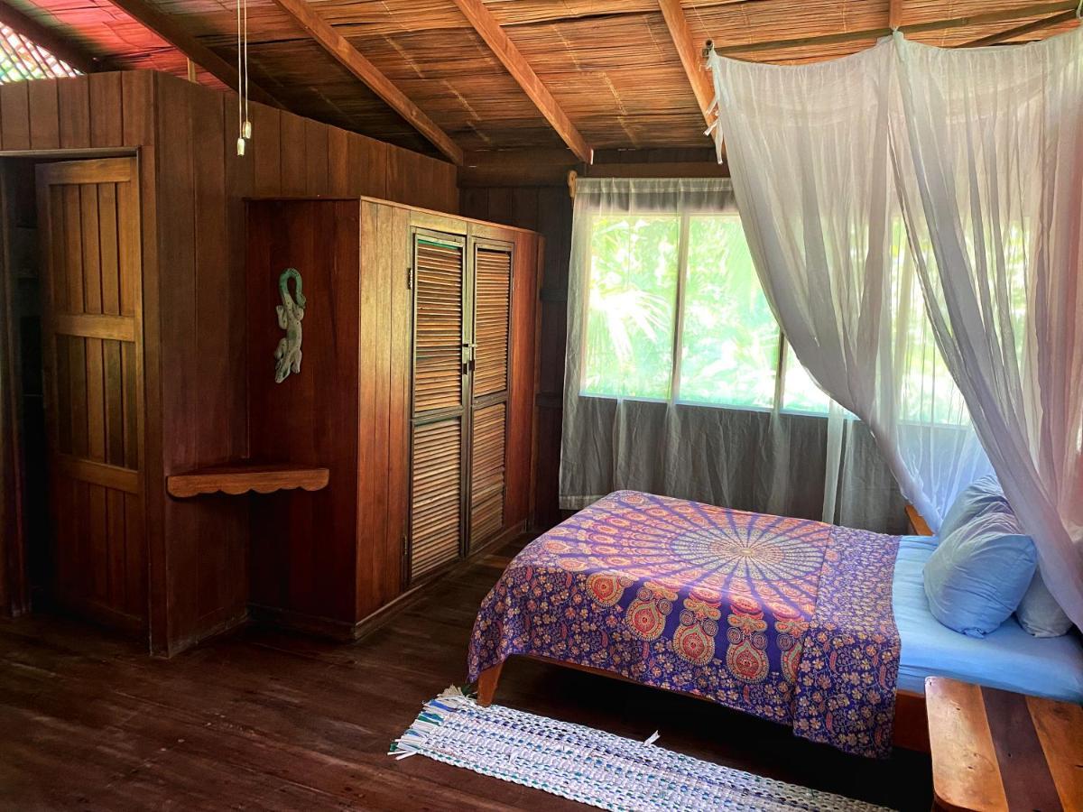 Ocean Forest Ecolodge San Pedrillo Ngoại thất bức ảnh