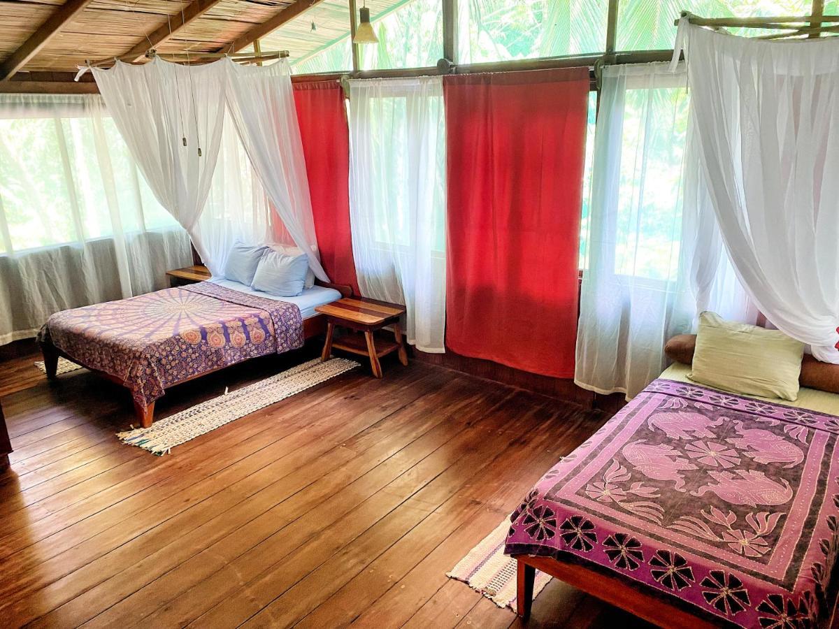 Ocean Forest Ecolodge San Pedrillo Ngoại thất bức ảnh