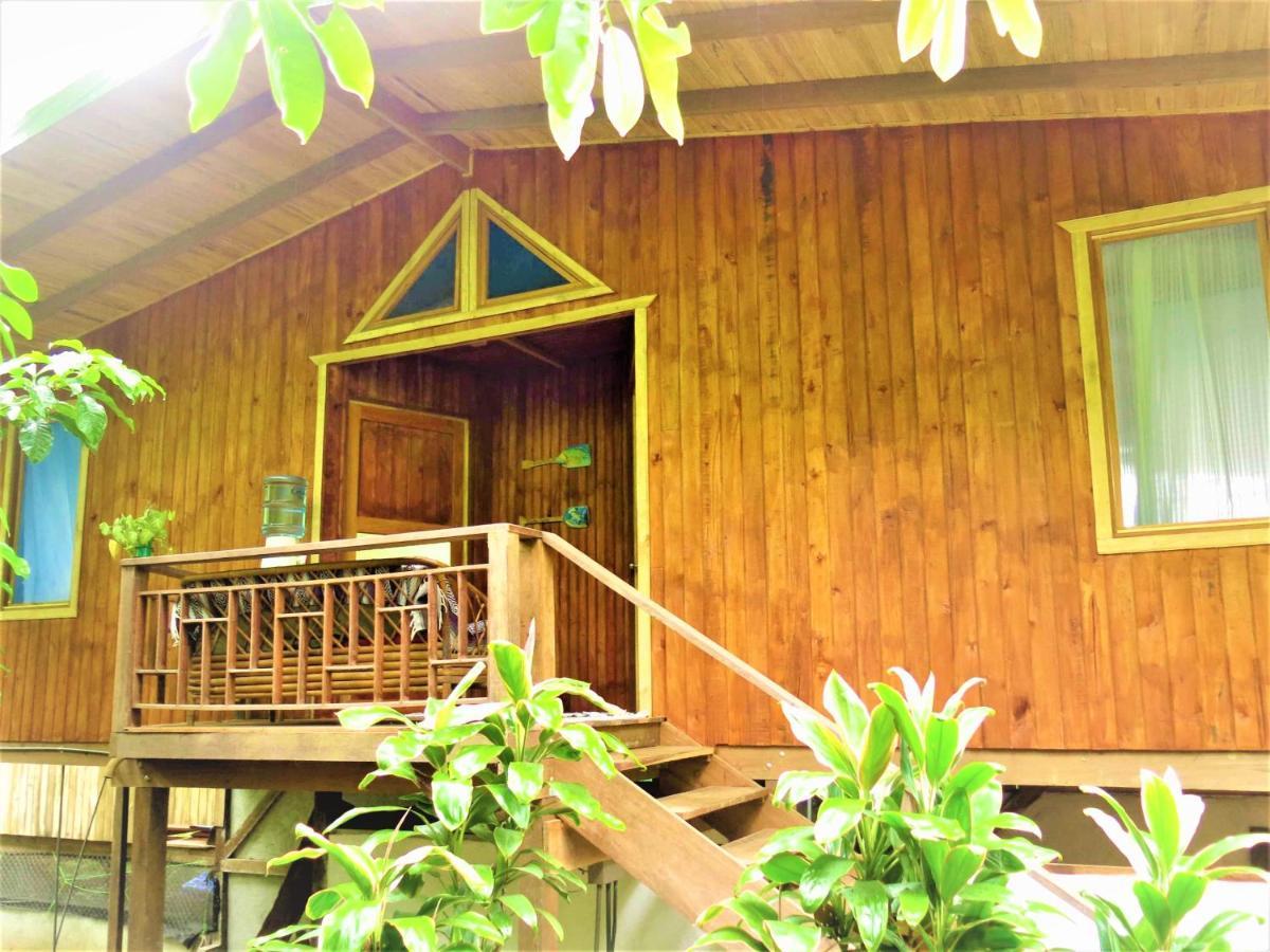 Ocean Forest Ecolodge San Pedrillo Ngoại thất bức ảnh