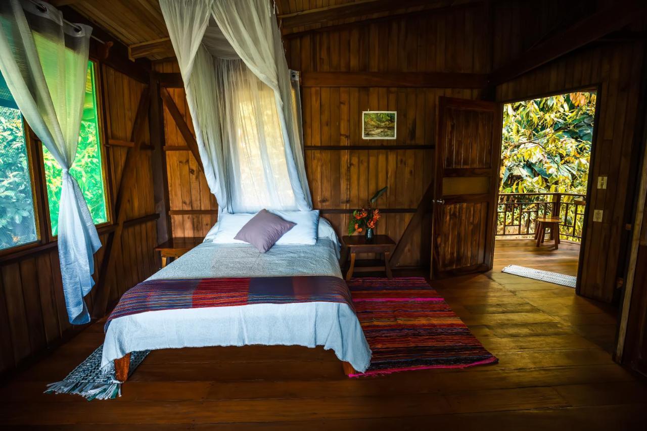 Ocean Forest Ecolodge San Pedrillo Ngoại thất bức ảnh