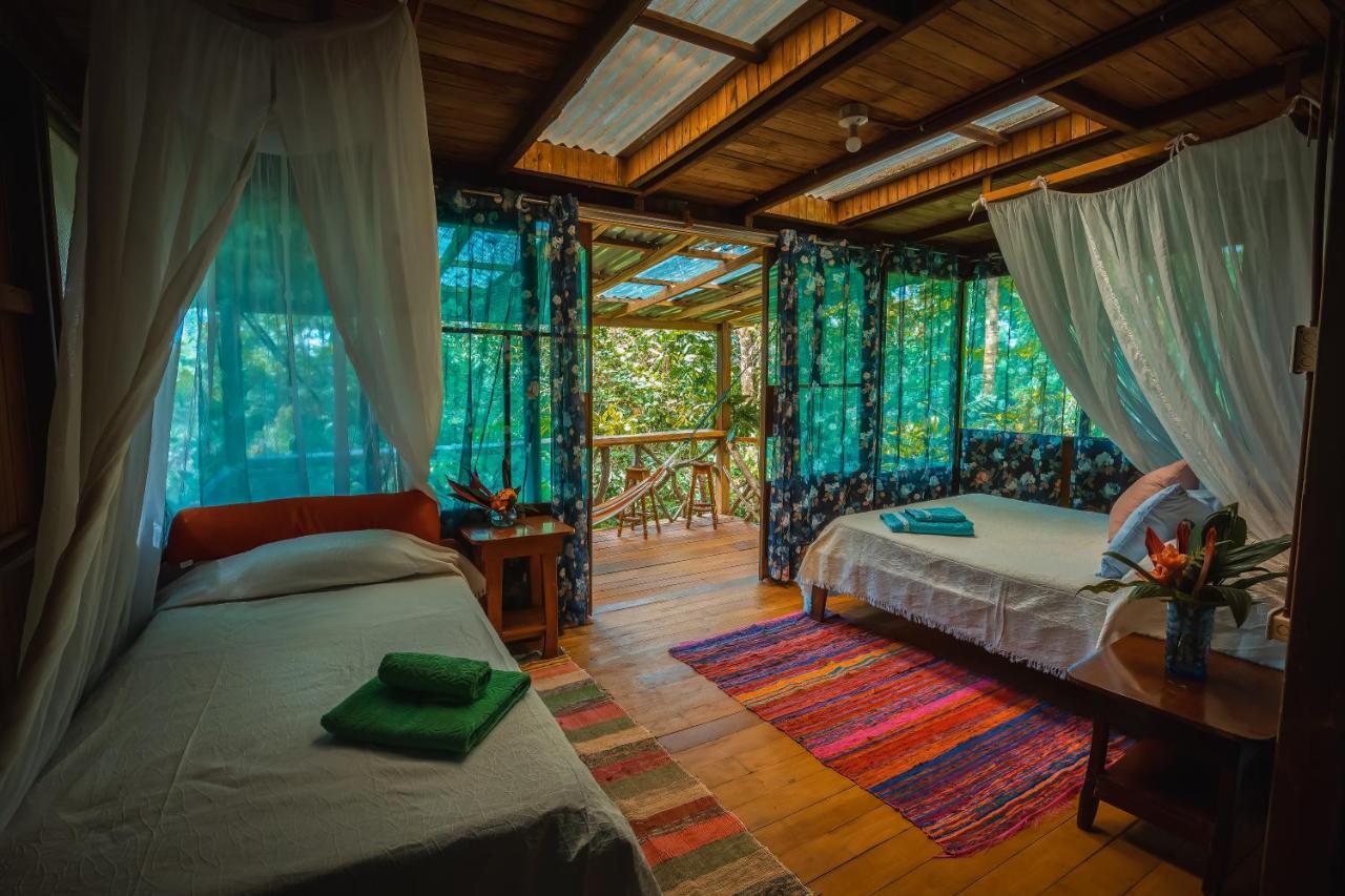 Ocean Forest Ecolodge San Pedrillo Ngoại thất bức ảnh