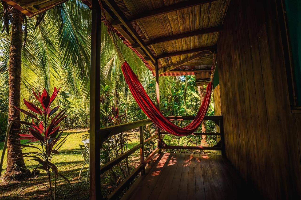 Ocean Forest Ecolodge San Pedrillo Ngoại thất bức ảnh