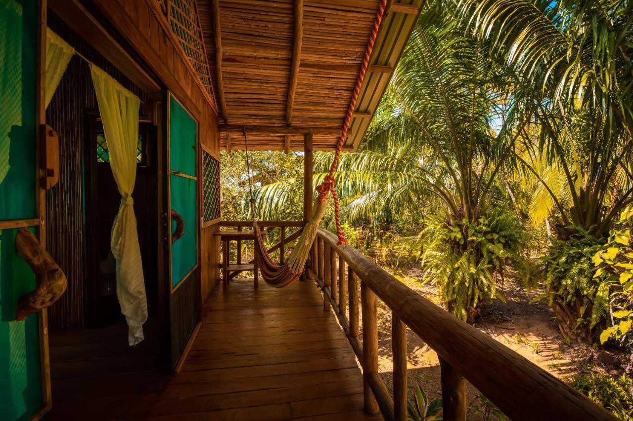 Ocean Forest Ecolodge San Pedrillo Ngoại thất bức ảnh
