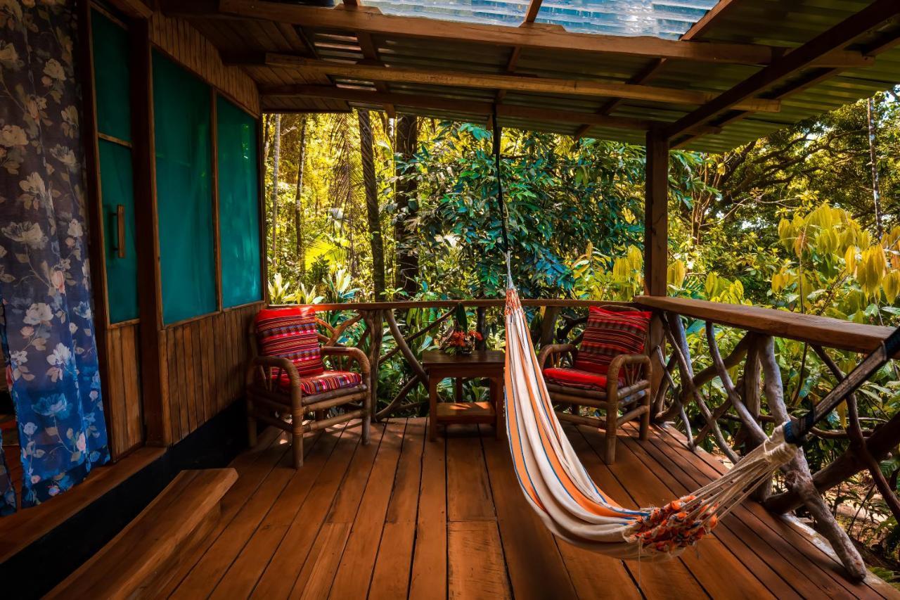 Ocean Forest Ecolodge San Pedrillo Ngoại thất bức ảnh