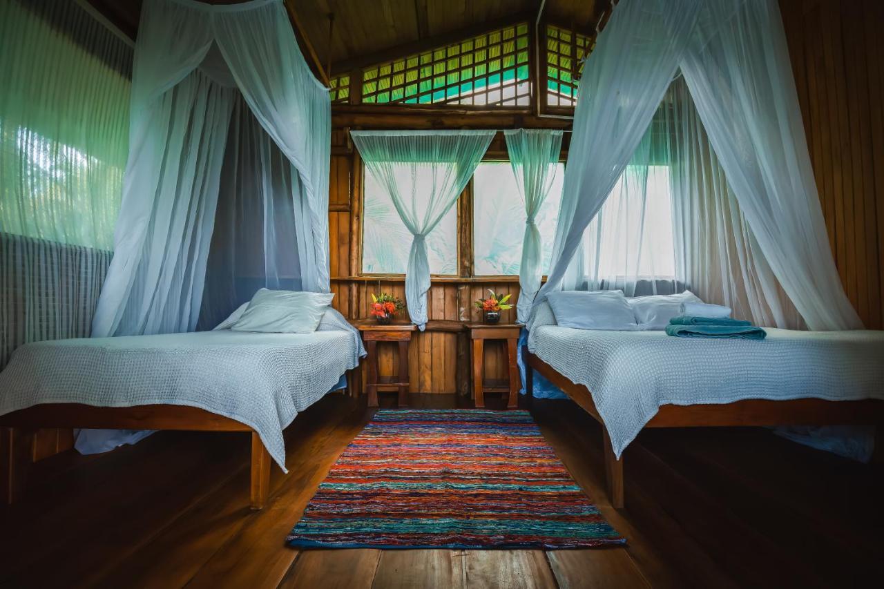 Ocean Forest Ecolodge San Pedrillo Ngoại thất bức ảnh