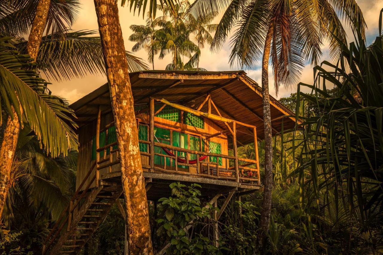Ocean Forest Ecolodge San Pedrillo Ngoại thất bức ảnh
