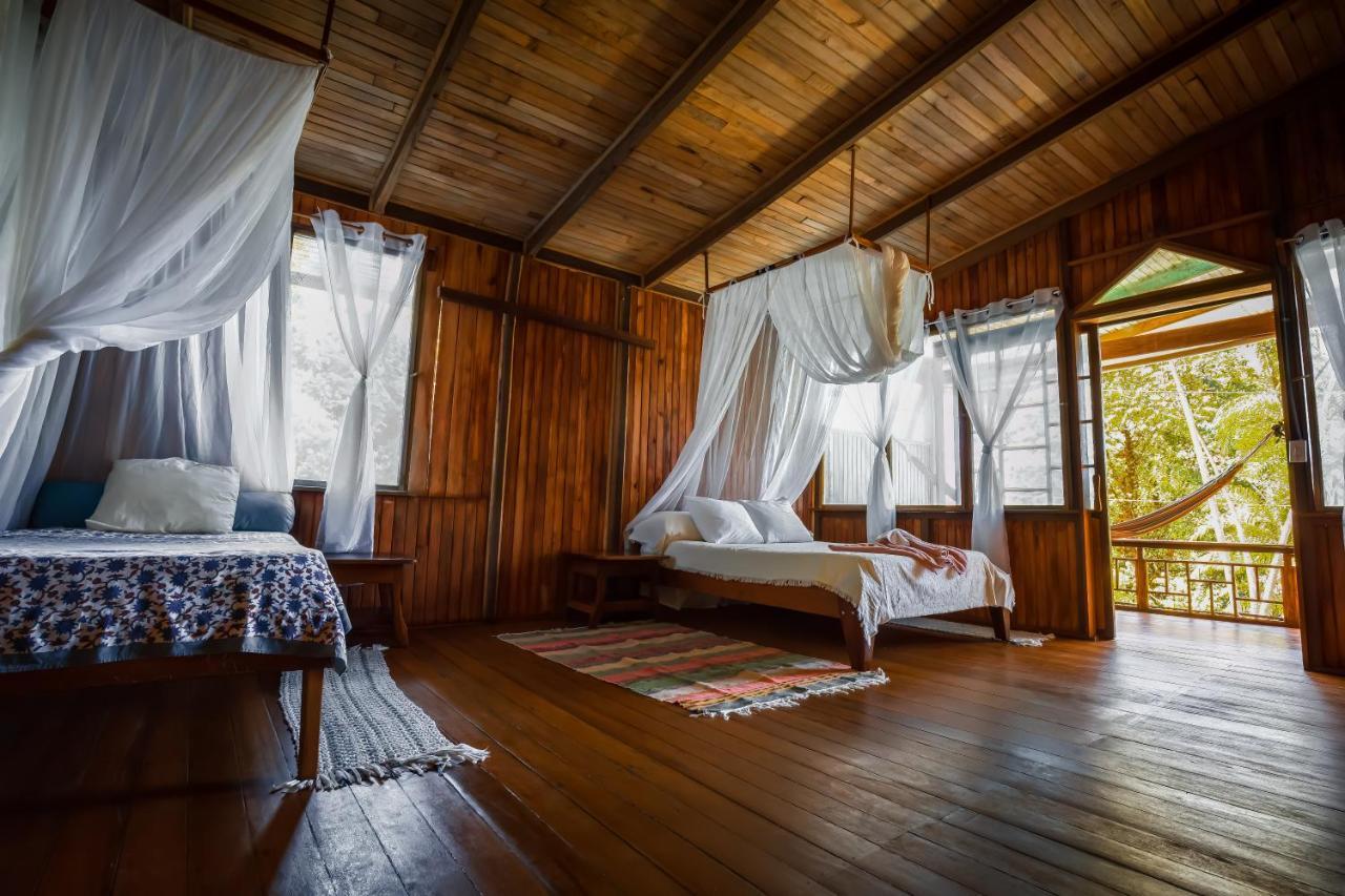 Ocean Forest Ecolodge San Pedrillo Ngoại thất bức ảnh
