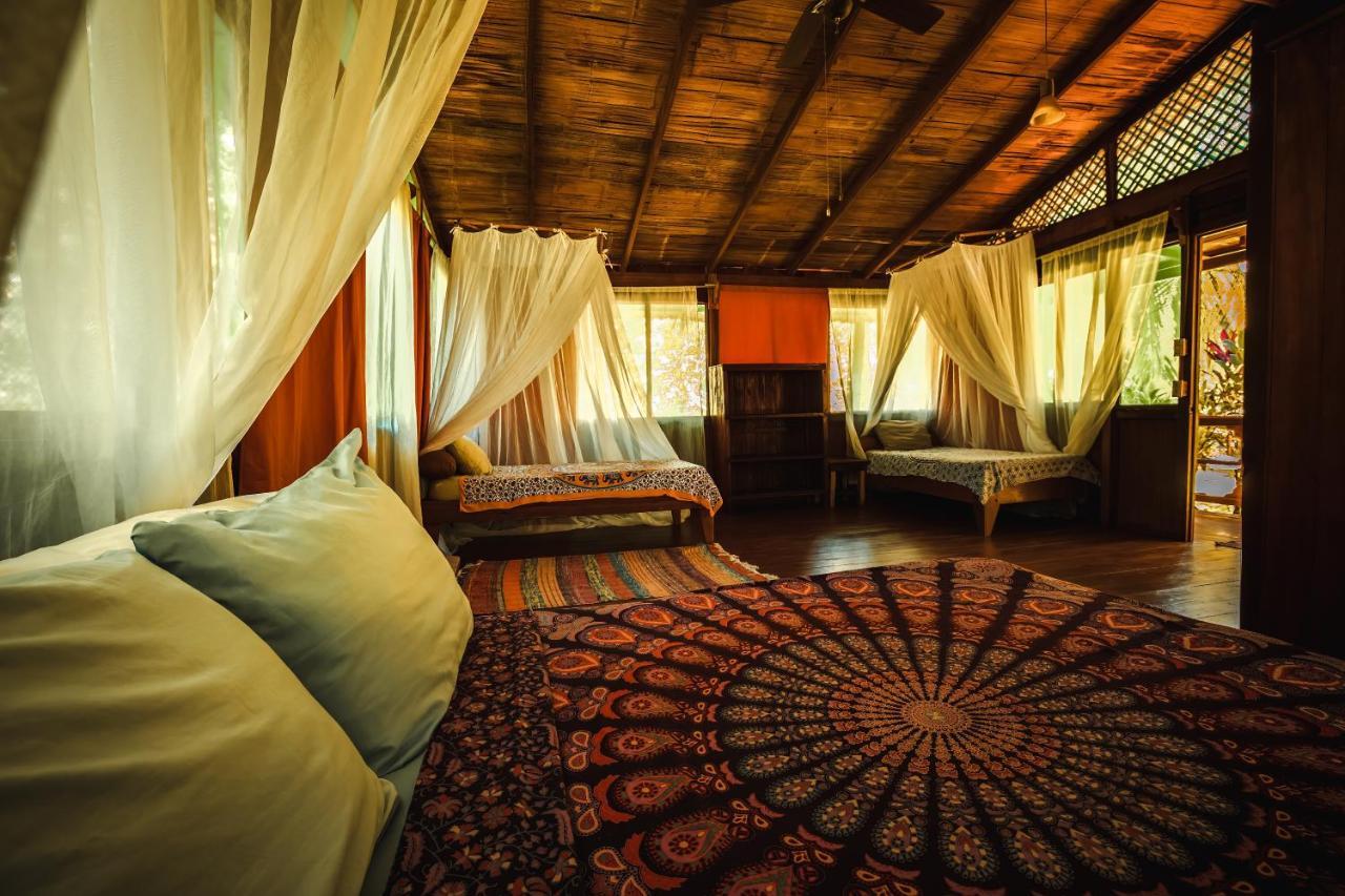 Ocean Forest Ecolodge San Pedrillo Ngoại thất bức ảnh