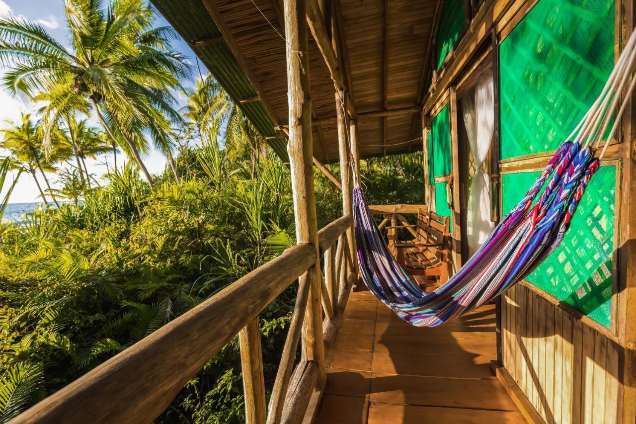 Ocean Forest Ecolodge San Pedrillo Ngoại thất bức ảnh