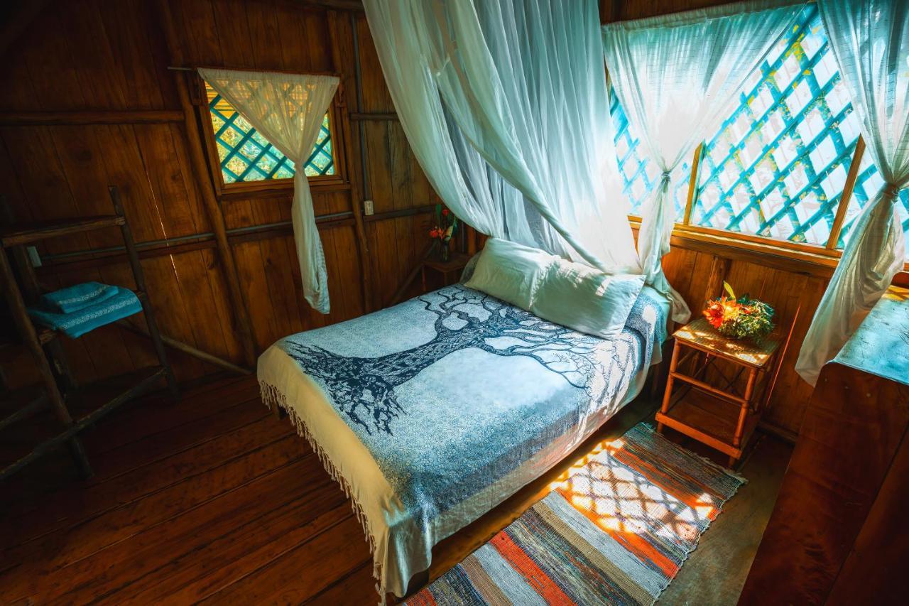 Ocean Forest Ecolodge San Pedrillo Ngoại thất bức ảnh