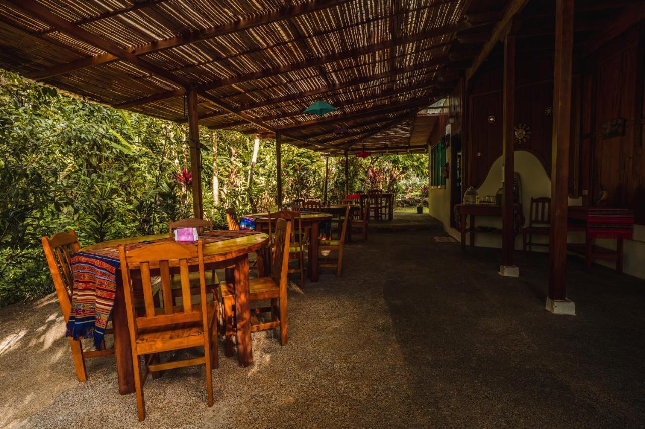 Ocean Forest Ecolodge San Pedrillo Ngoại thất bức ảnh
