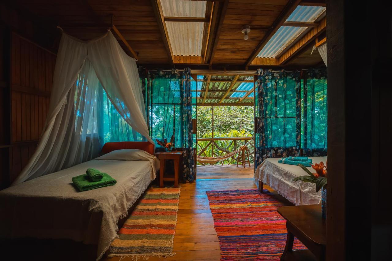 Ocean Forest Ecolodge San Pedrillo Ngoại thất bức ảnh