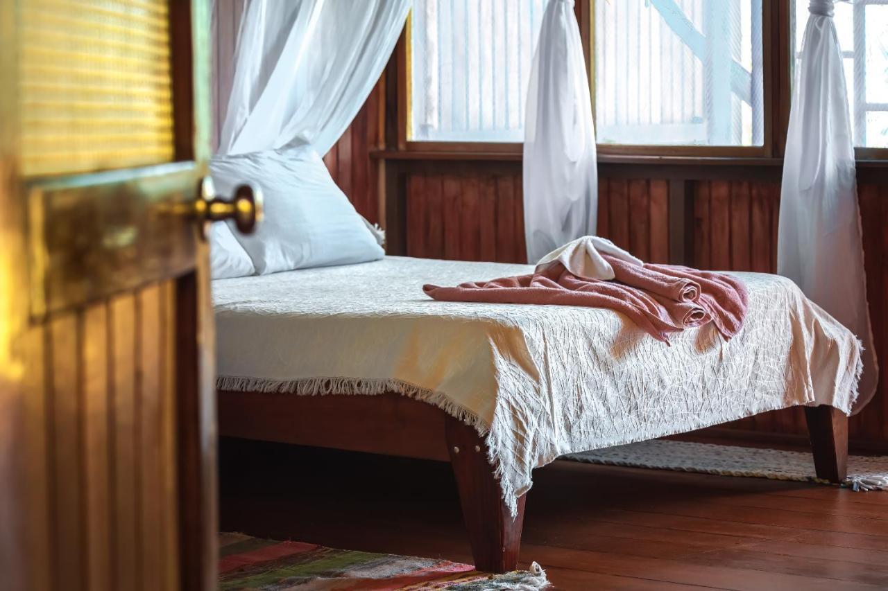 Ocean Forest Ecolodge San Pedrillo Ngoại thất bức ảnh