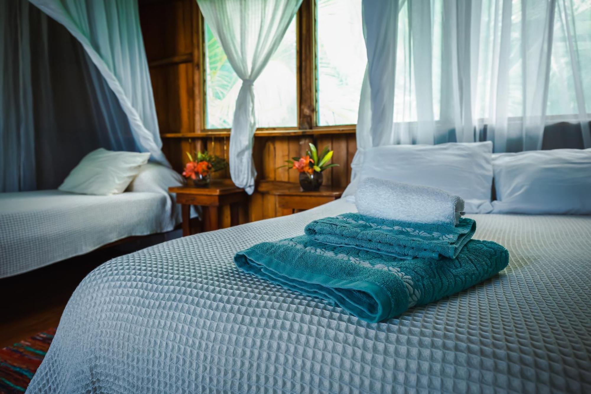 Ocean Forest Ecolodge San Pedrillo Ngoại thất bức ảnh