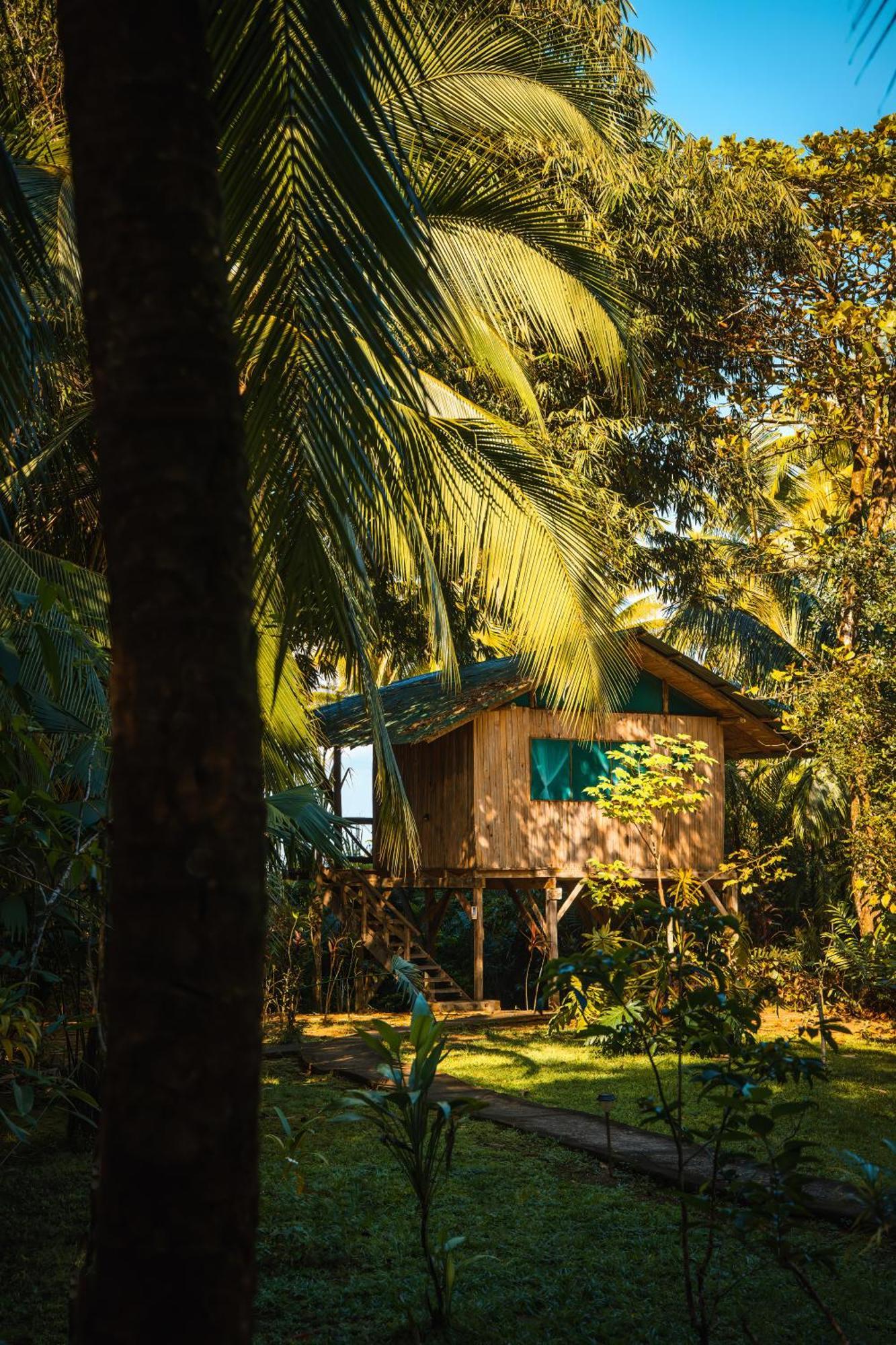Ocean Forest Ecolodge San Pedrillo Ngoại thất bức ảnh