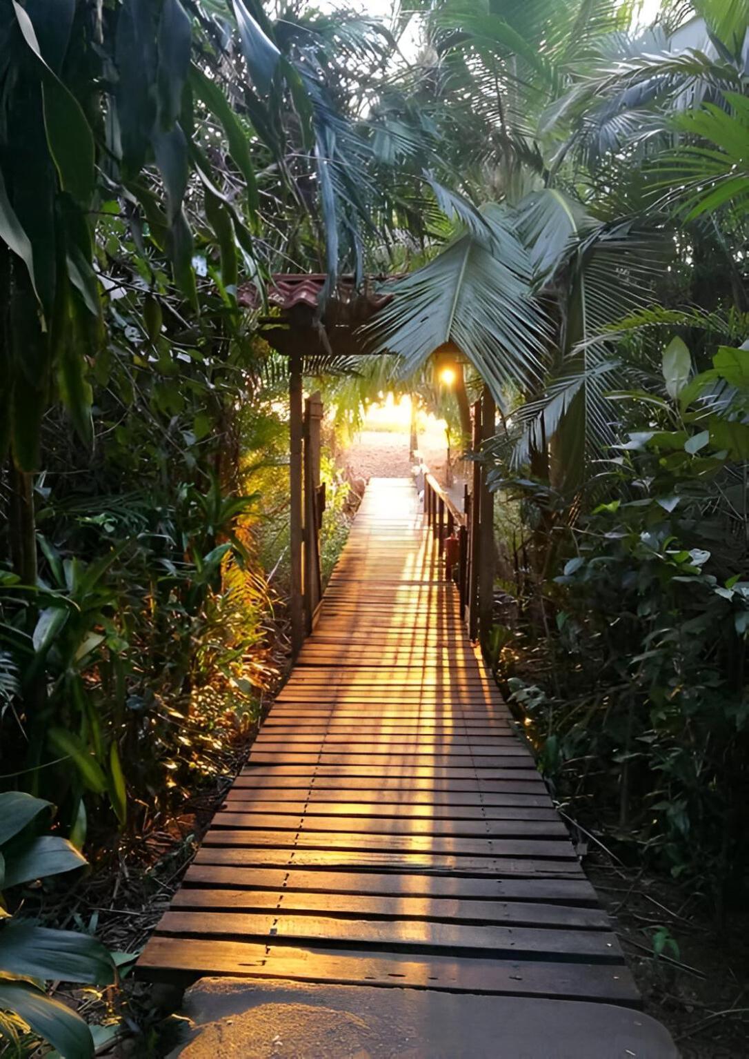 Ocean Forest Ecolodge San Pedrillo Ngoại thất bức ảnh