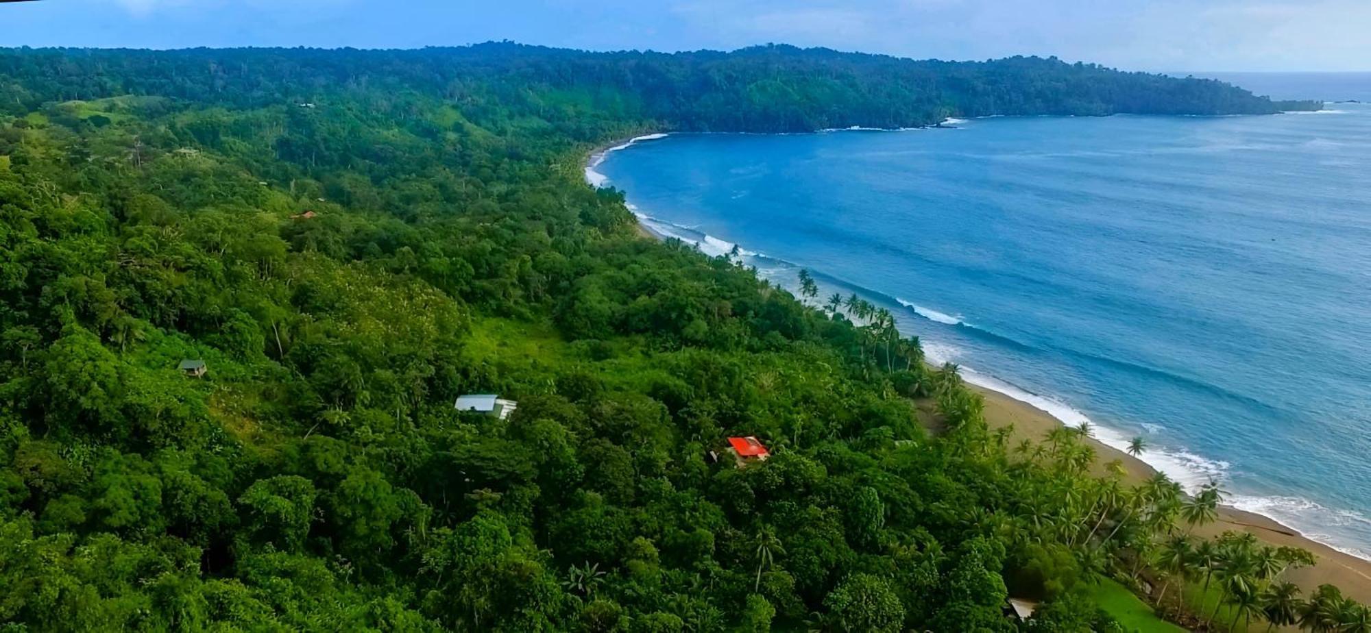 Ocean Forest Ecolodge San Pedrillo Ngoại thất bức ảnh