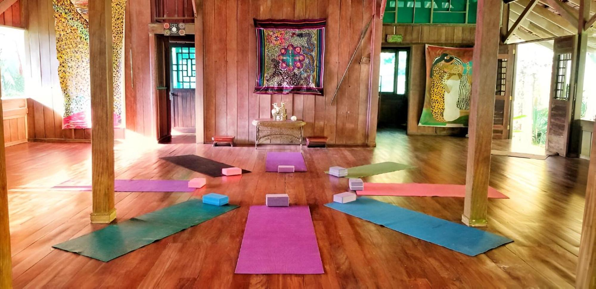Ocean Forest Ecolodge San Pedrillo Ngoại thất bức ảnh