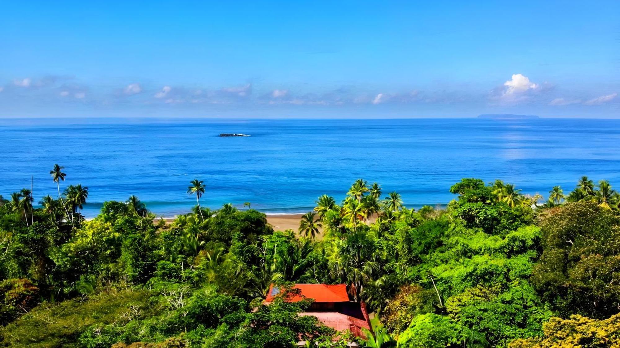 Ocean Forest Ecolodge San Pedrillo Ngoại thất bức ảnh