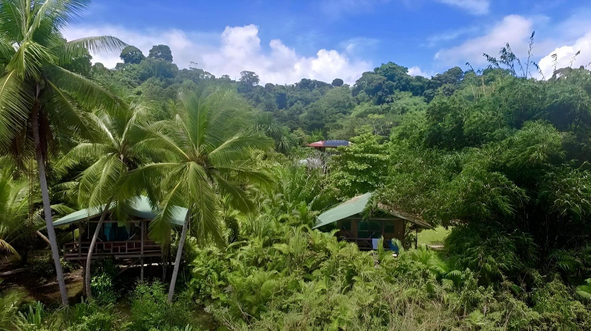 Ocean Forest Ecolodge San Pedrillo Ngoại thất bức ảnh
