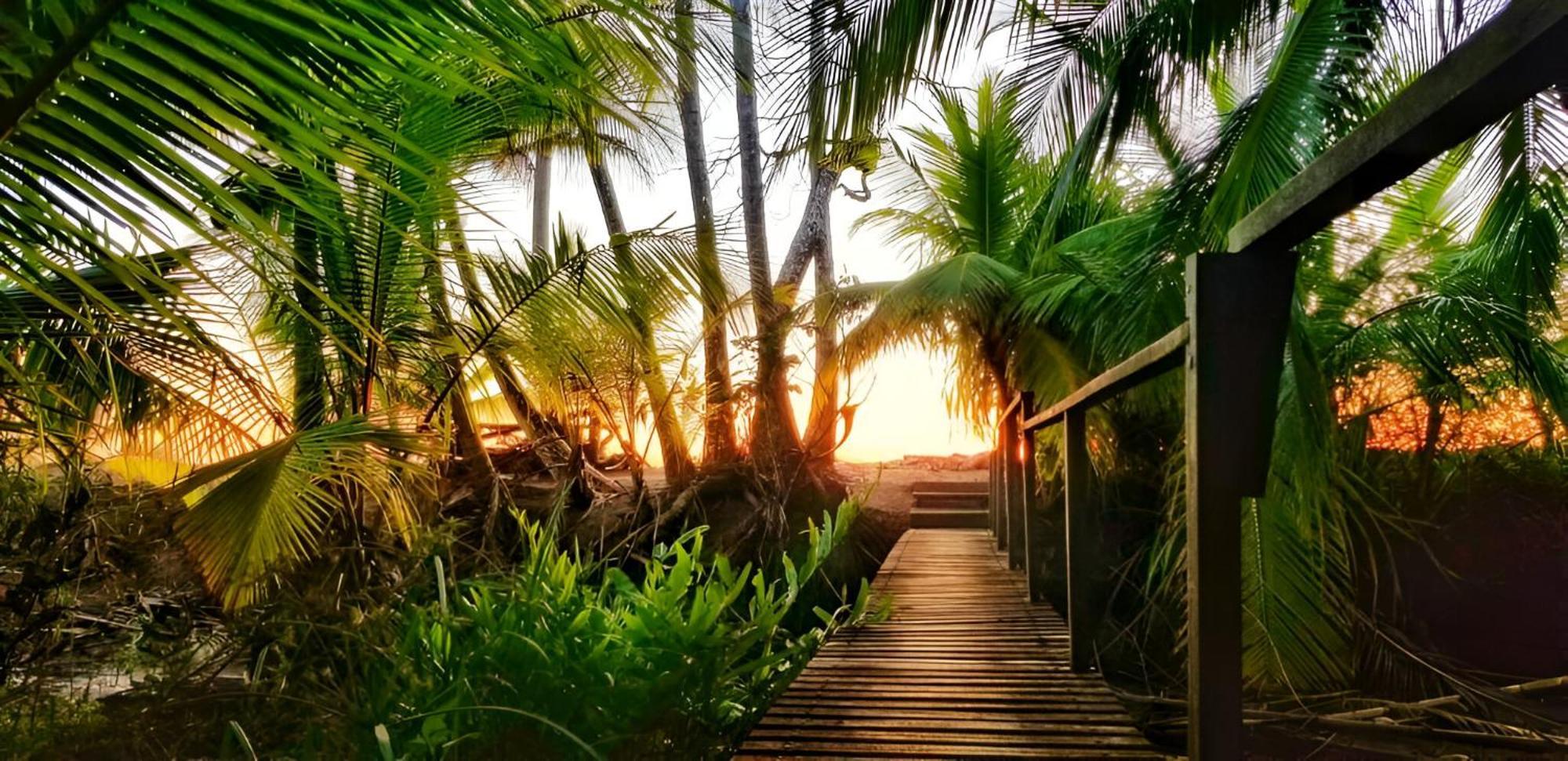Ocean Forest Ecolodge San Pedrillo Ngoại thất bức ảnh