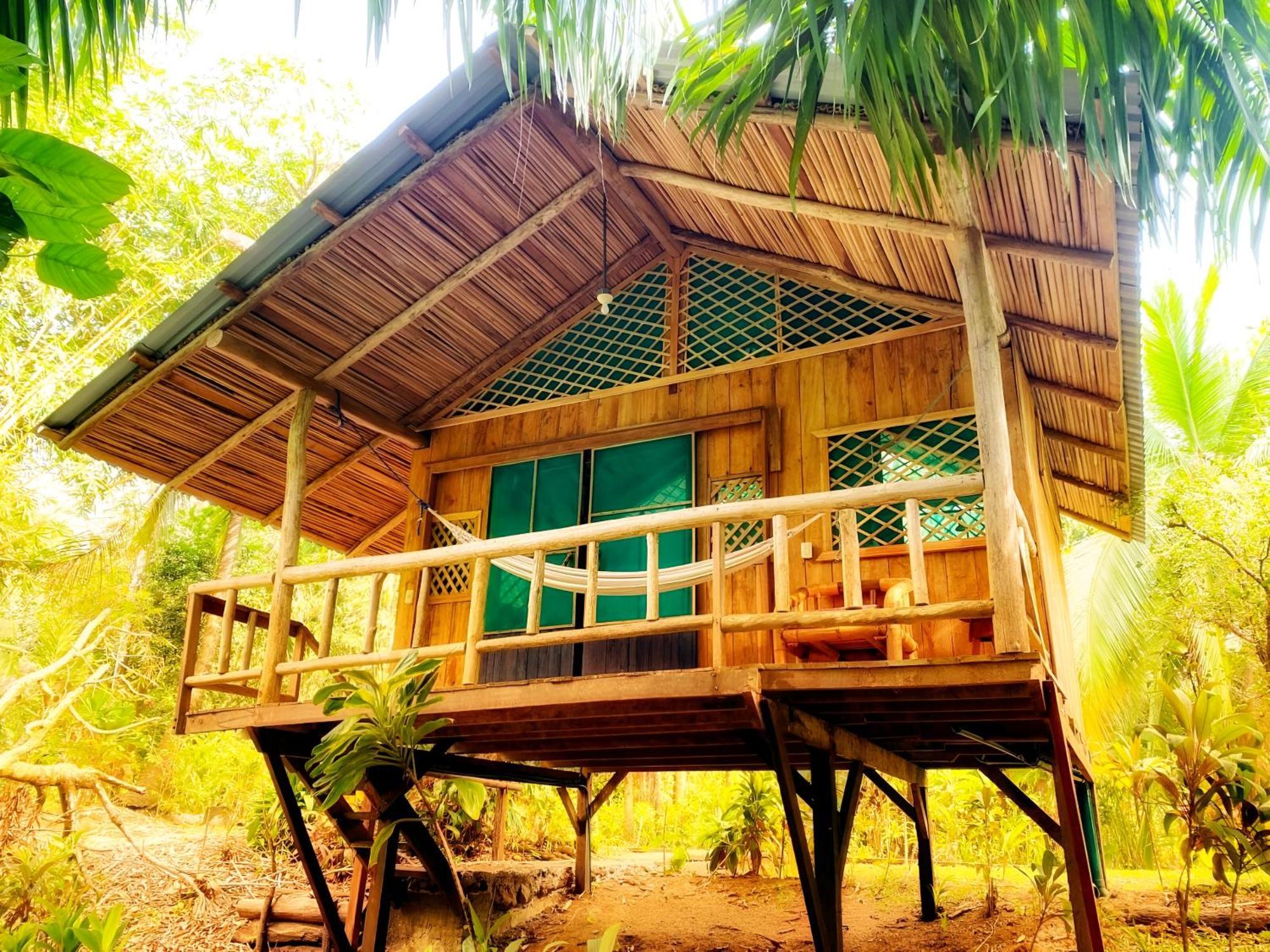 Ocean Forest Ecolodge San Pedrillo Ngoại thất bức ảnh